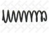 VW 71851357 Coil Spring